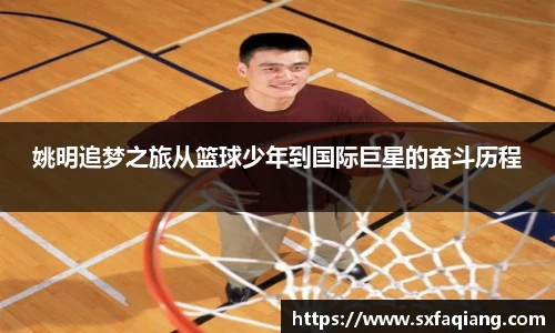 姚明追梦之旅从篮球少年到国际巨星的奋斗历程